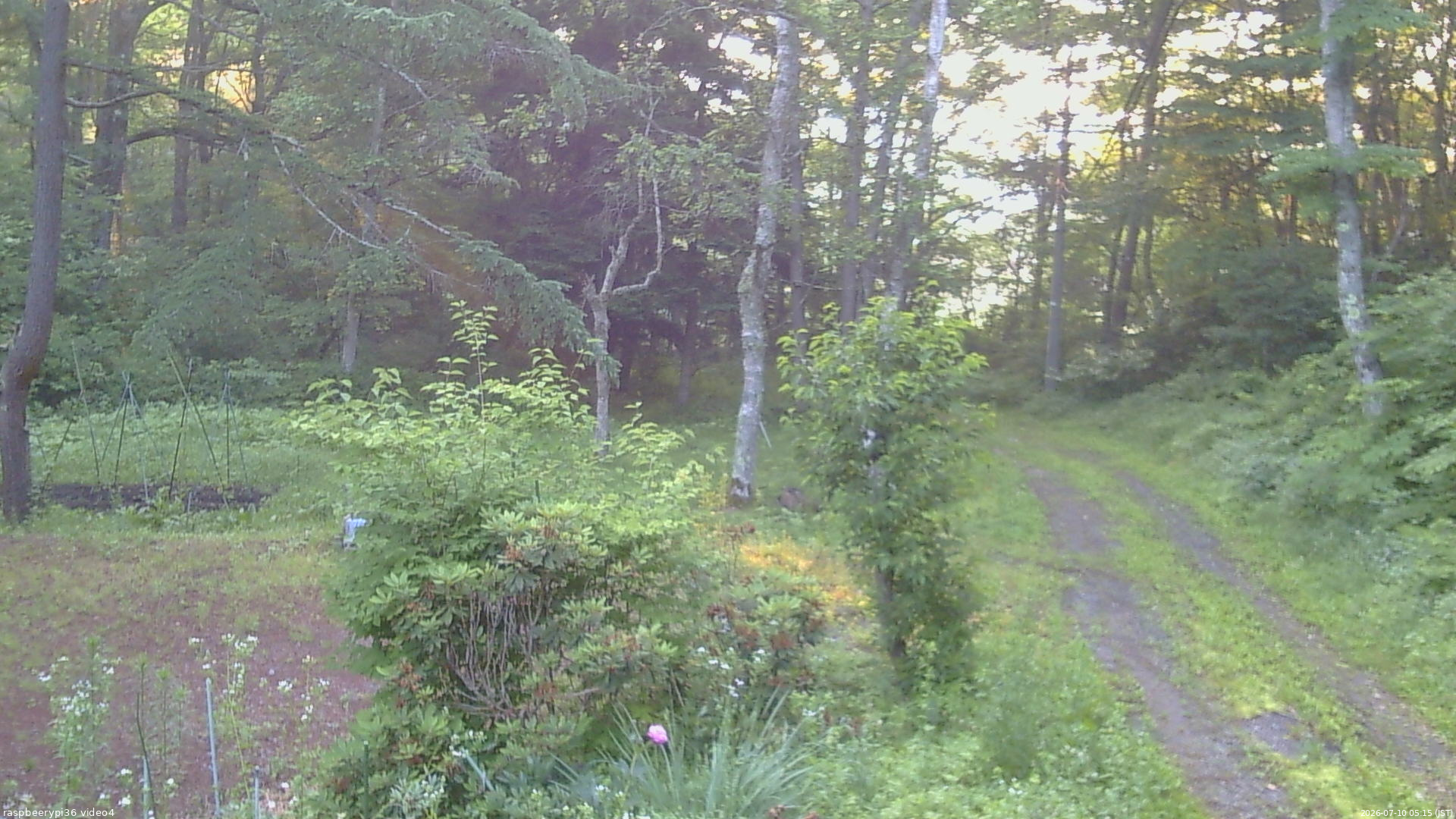 長野県菅平高原 ゆたか山荘 坂上 2026/07/10 05:15