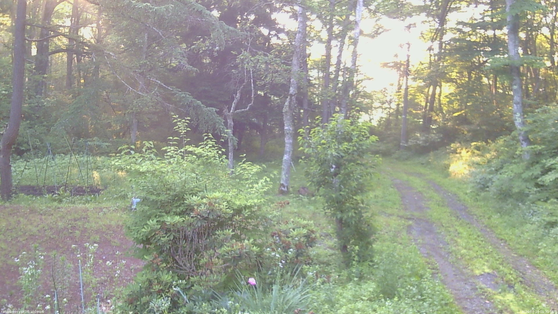 長野県菅平高原 ゆたか山荘 坂上 2026/07/10 05:30