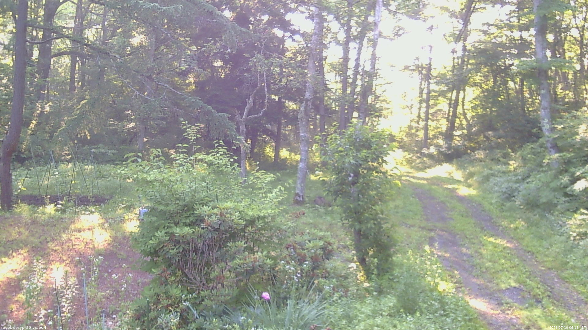 長野県菅平高原 ゆたか山荘 坂上 2026/07/10 06:15
