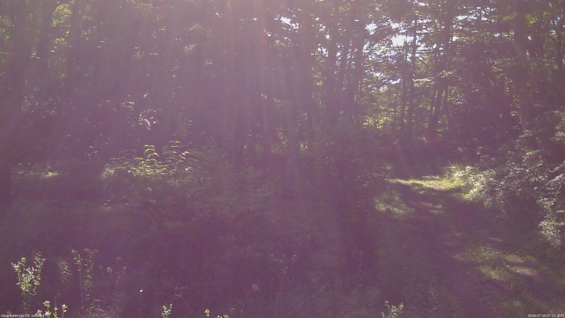 長野県菅平高原 ゆたか山荘 坂上 2026/07/10 07:15