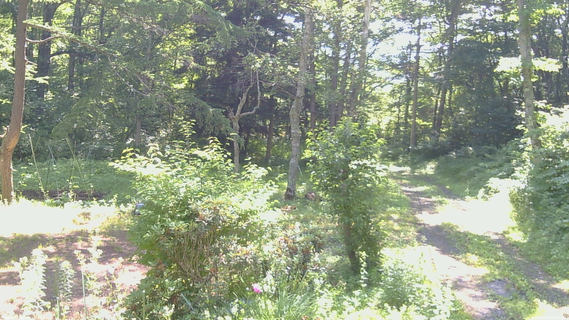 長野県菅平高原 ゆたか山荘 坂上 2026/07/10 09:00