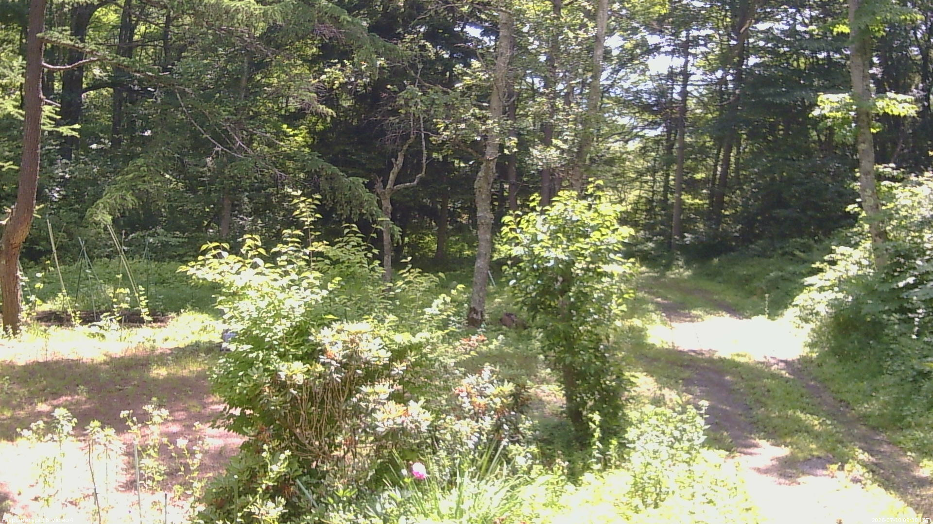 長野県菅平高原 ゆたか山荘 坂上 2026/07/10 09:30