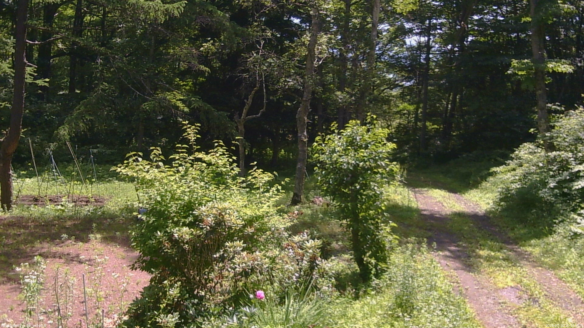 長野県菅平高原 ゆたか山荘 坂上 2026/07/10 10:15