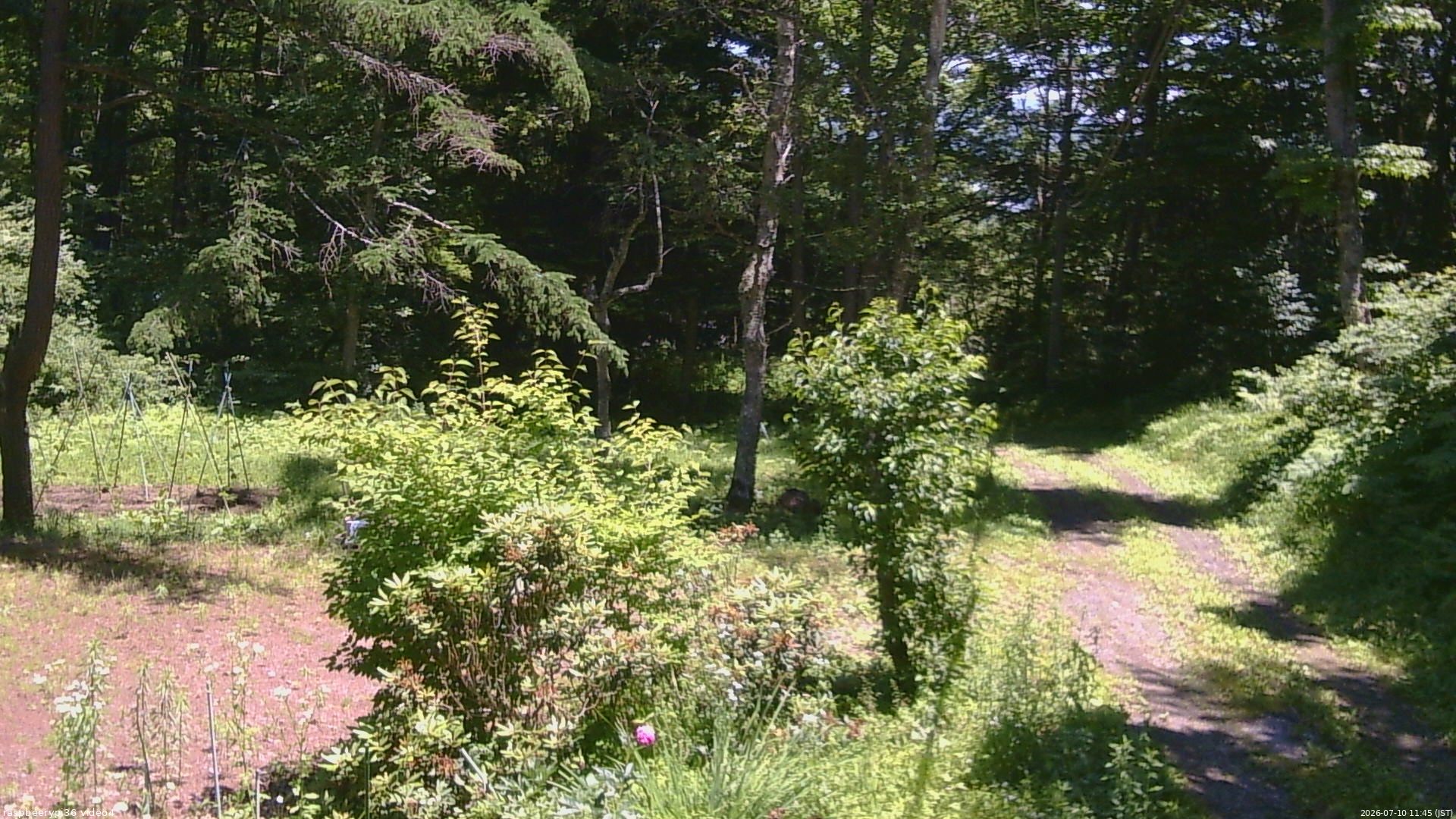 長野県菅平高原 ゆたか山荘 坂上 2026/07/10 11:45