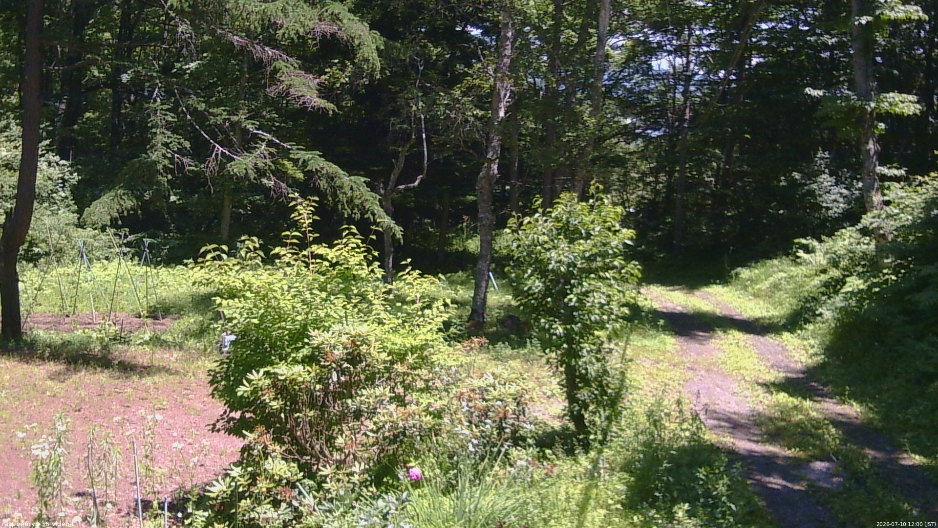 長野県菅平高原 ゆたか山荘 坂上 2026/07/10 12:00