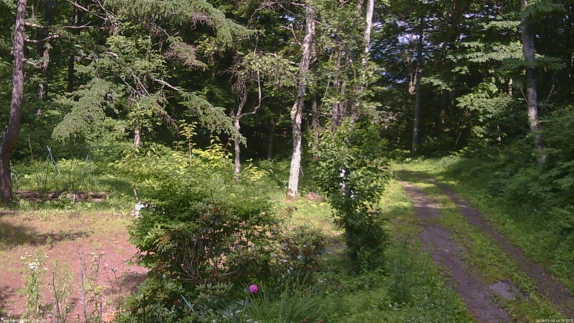 長野県菅平高原 ゆたか山荘 坂上 2026/07/10 14:30