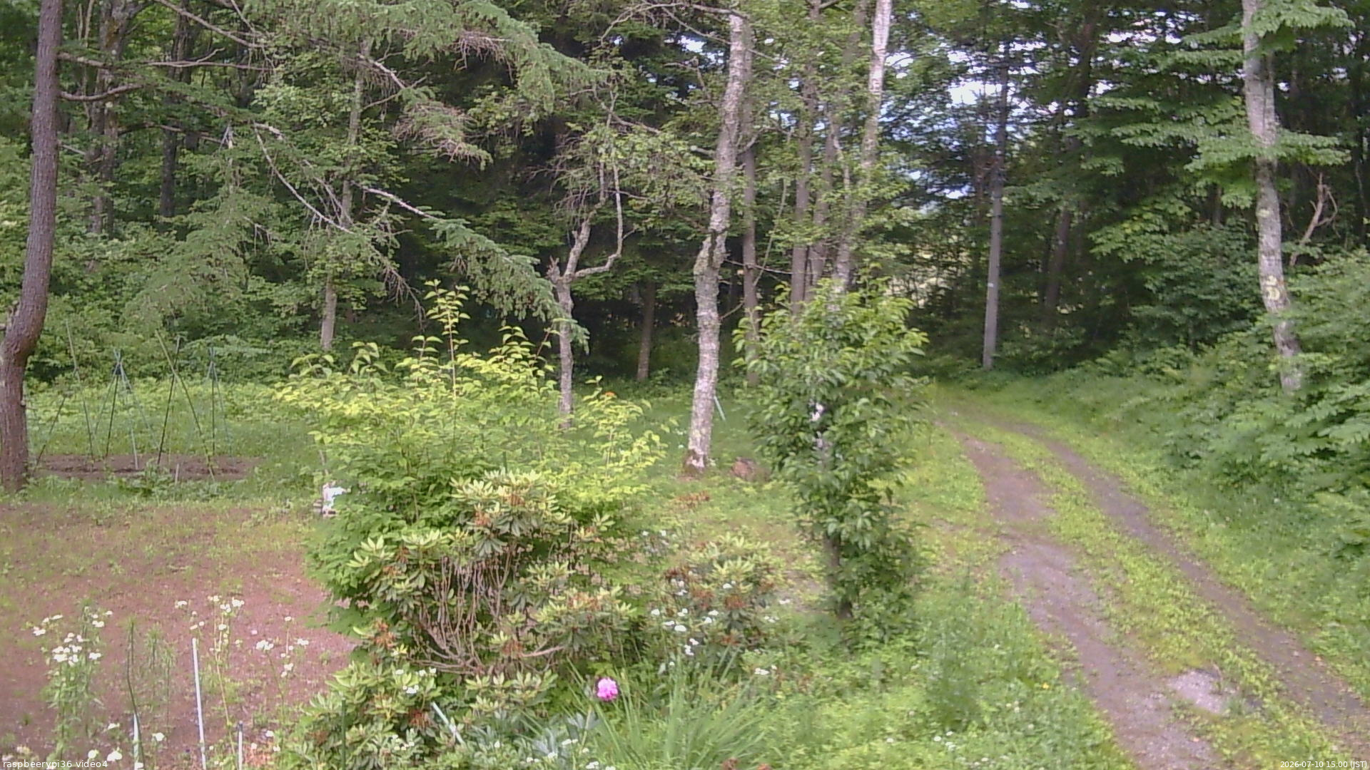長野県菅平高原 ゆたか山荘 坂上 2026/07/10 15:00