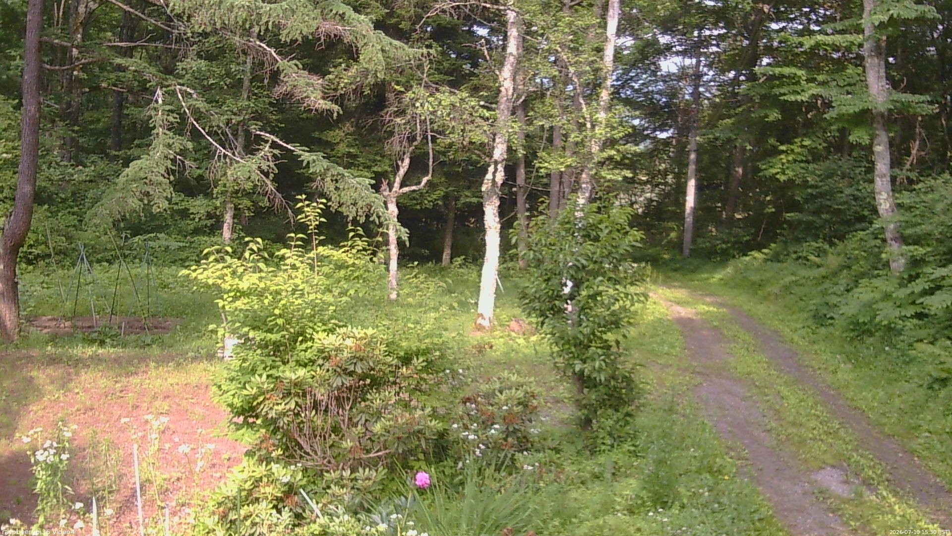 長野県菅平高原 ゆたか山荘 坂上 2026/07/10 15:30
