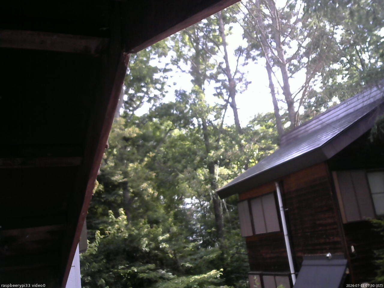 長野県菅平高原 ゆたか山荘 北側 2026/07/11 07:30
