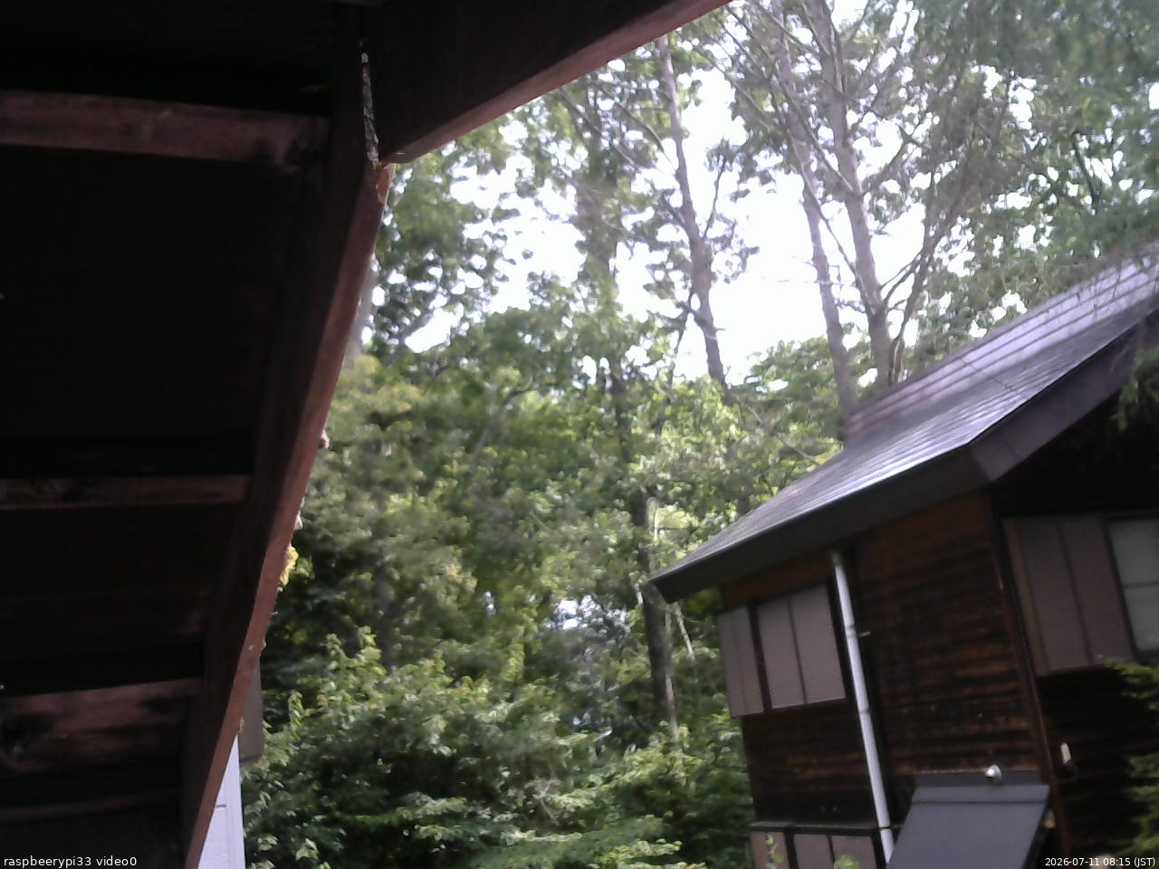 長野県菅平高原 ゆたか山荘 北側 2026/07/11 08:15