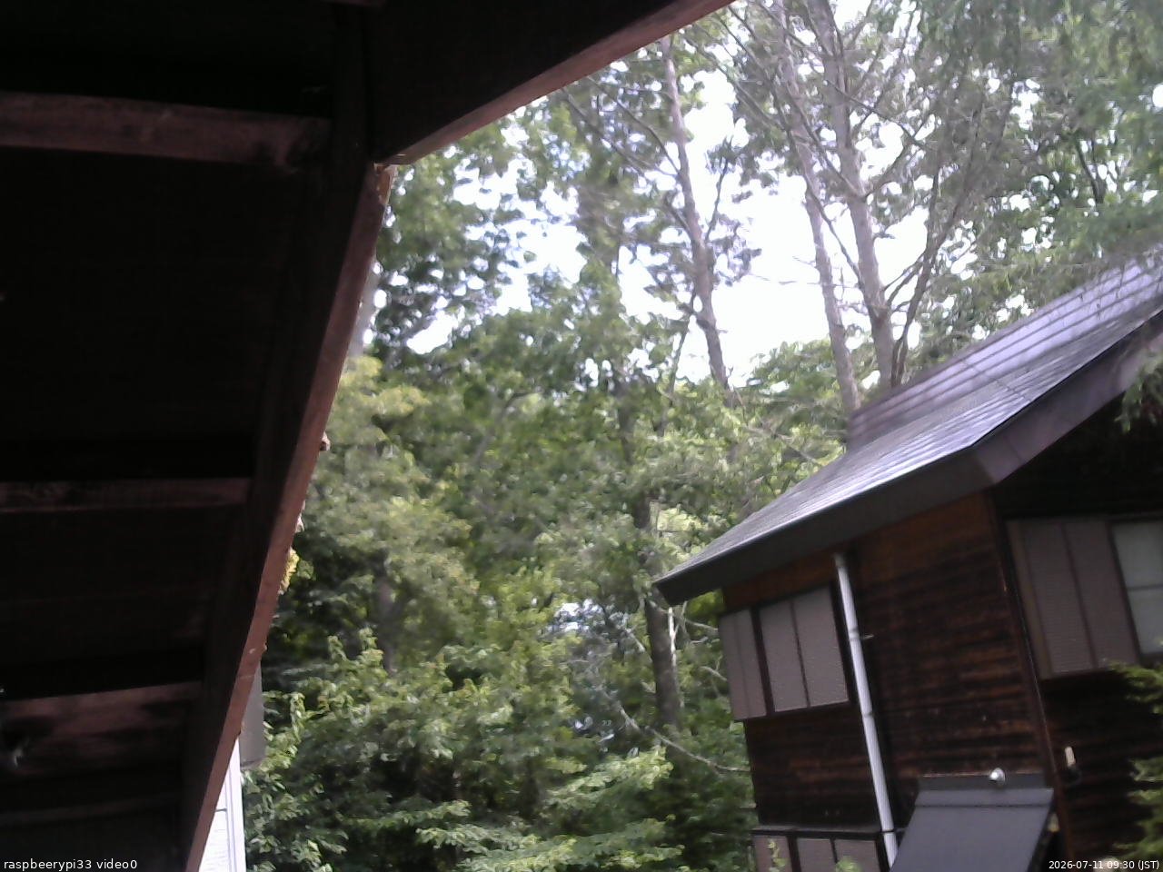 長野県菅平高原 ゆたか山荘 北側 2026/07/11 09:30