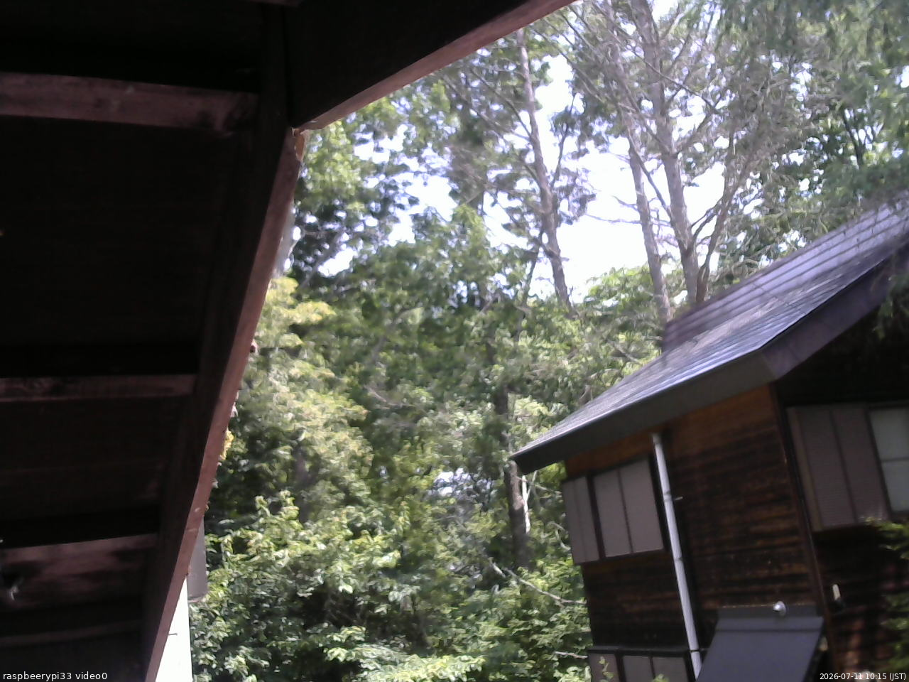 長野県菅平高原 ゆたか山荘 北側 2026/07/11 10:15