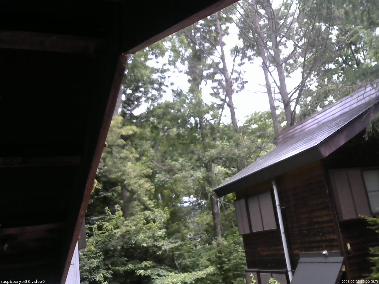 長野県菅平高原 ゆたか山荘 北側 2026/07/11 11:00