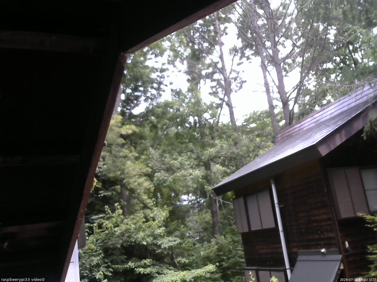 長野県菅平高原 ゆたか山荘 北側 2026/07/11 11:30