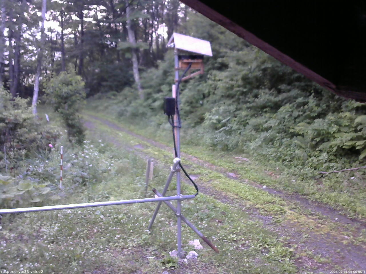 長野県菅平高原 ゆたか山荘 南側 2026/07/11 05:00