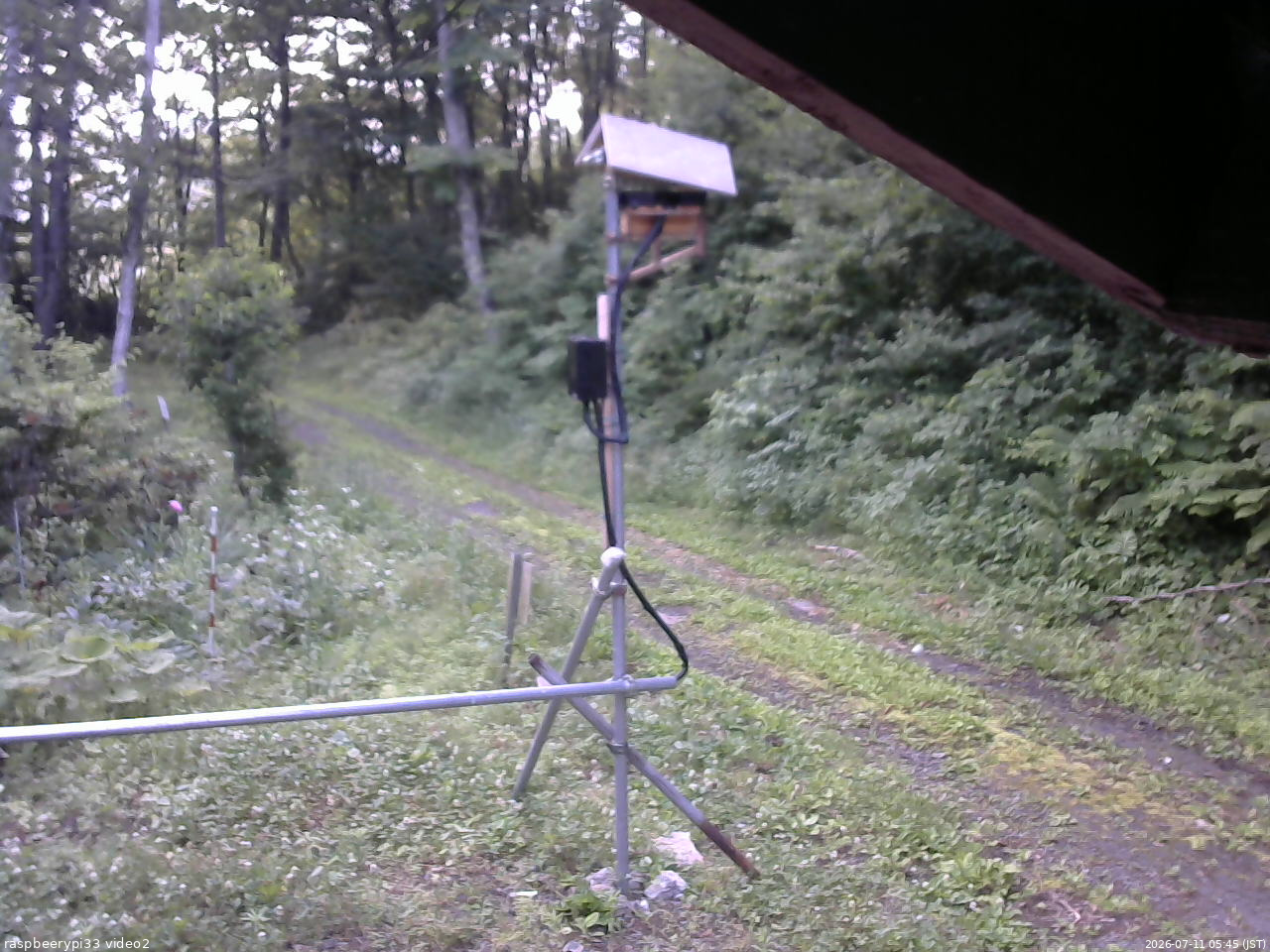 長野県菅平高原 ゆたか山荘 南側 2026/07/11 05:45