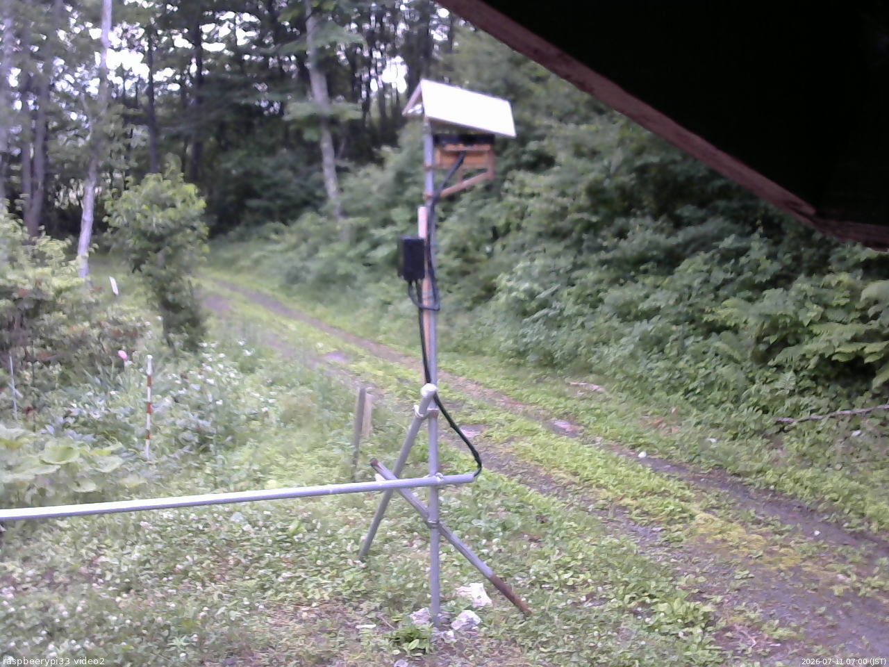 長野県菅平高原 ゆたか山荘 南側 2026/07/11 07:00