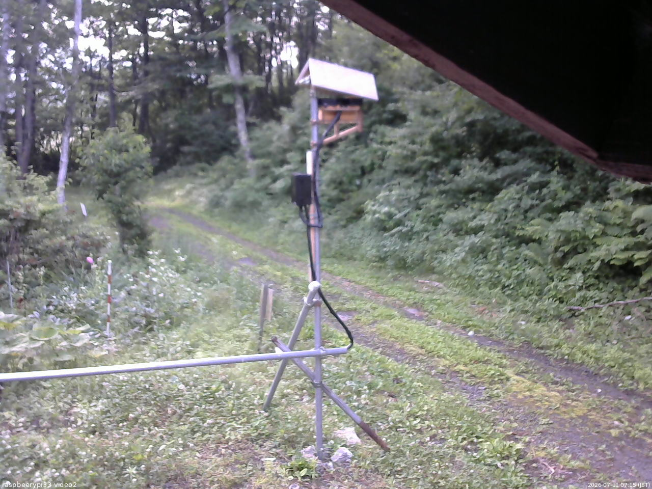 長野県菅平高原 ゆたか山荘 南側 2026/07/11 07:15