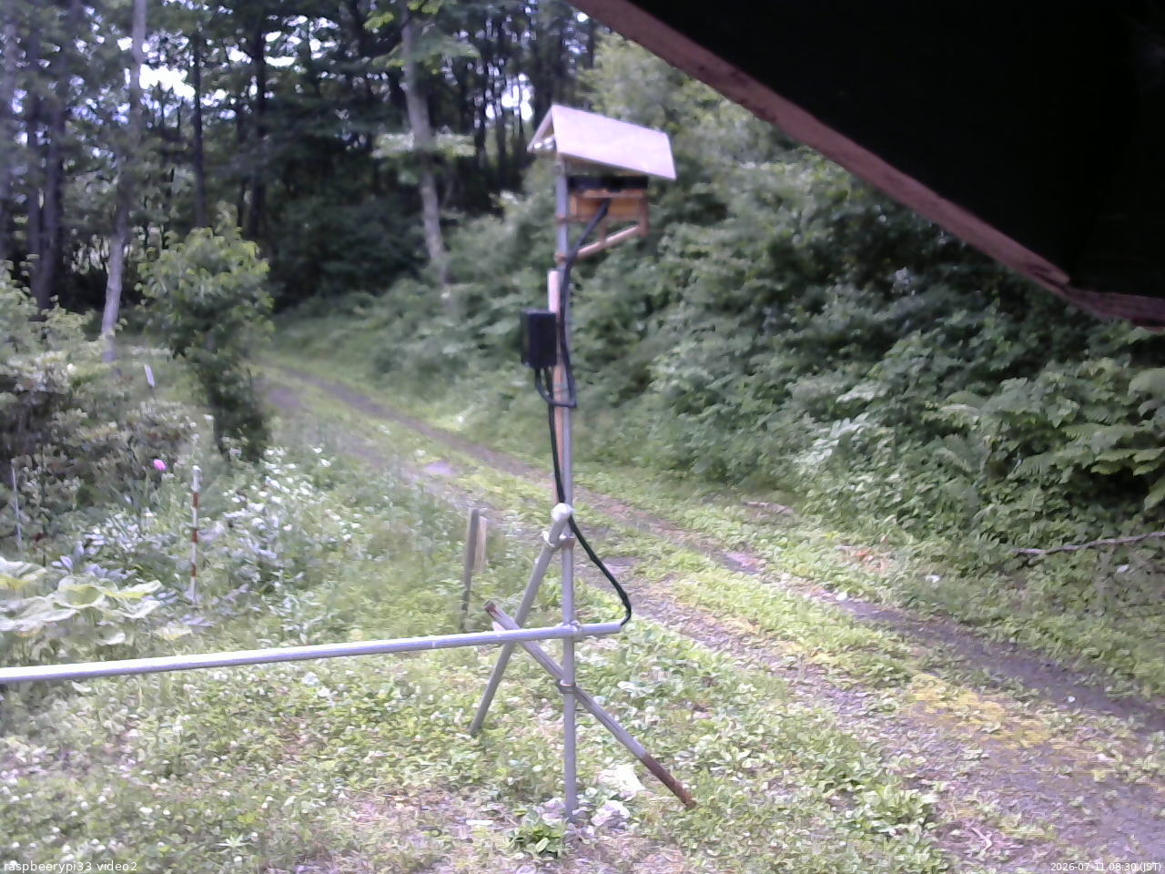 長野県菅平高原 ゆたか山荘 南側 2026/07/11 08:30