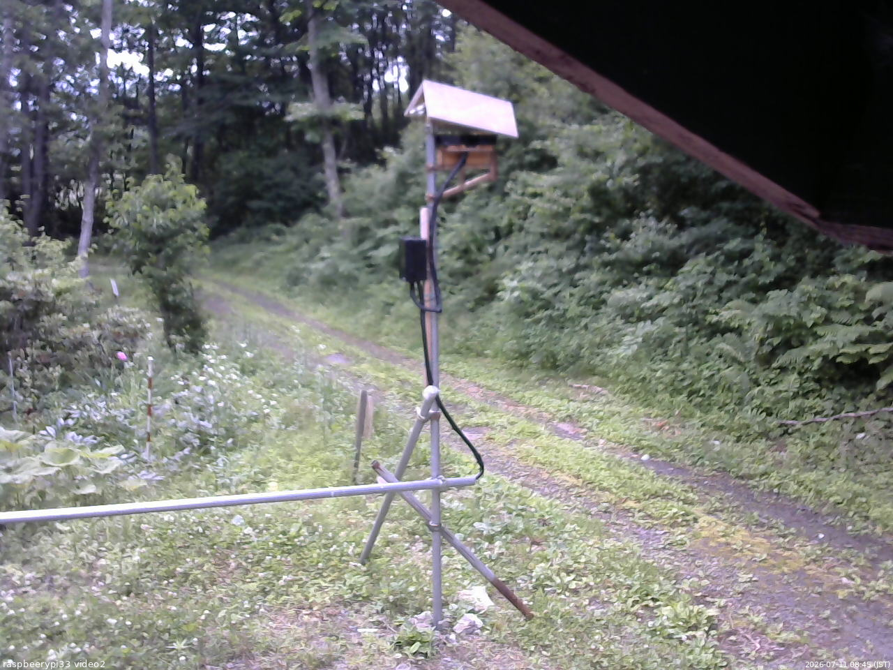 長野県菅平高原 ゆたか山荘 南側 2026/07/11 08:45