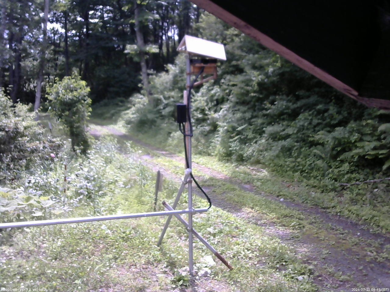 長野県菅平高原 ゆたか山荘 南側 2026/07/11 09:45
