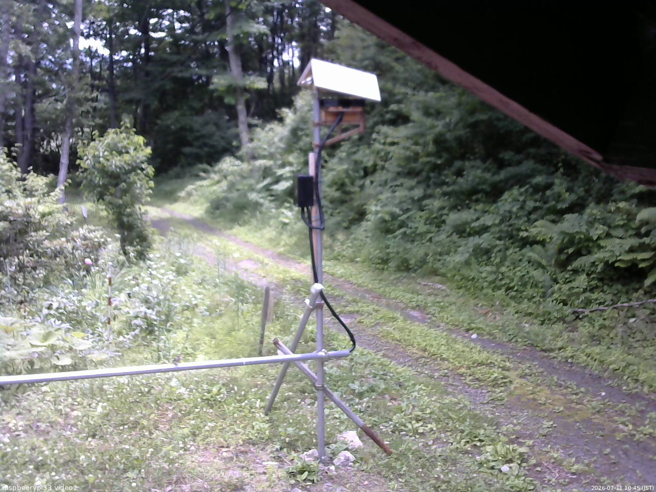長野県菅平高原 ゆたか山荘 南側 2026/07/11 10:45