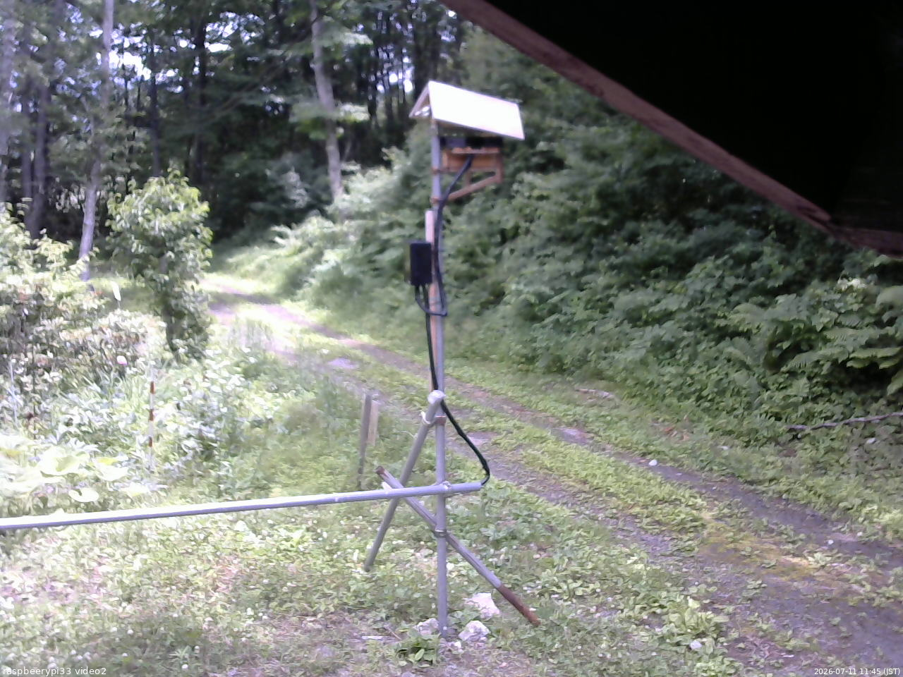 長野県菅平高原 ゆたか山荘 南側 2026/07/11 11:45
