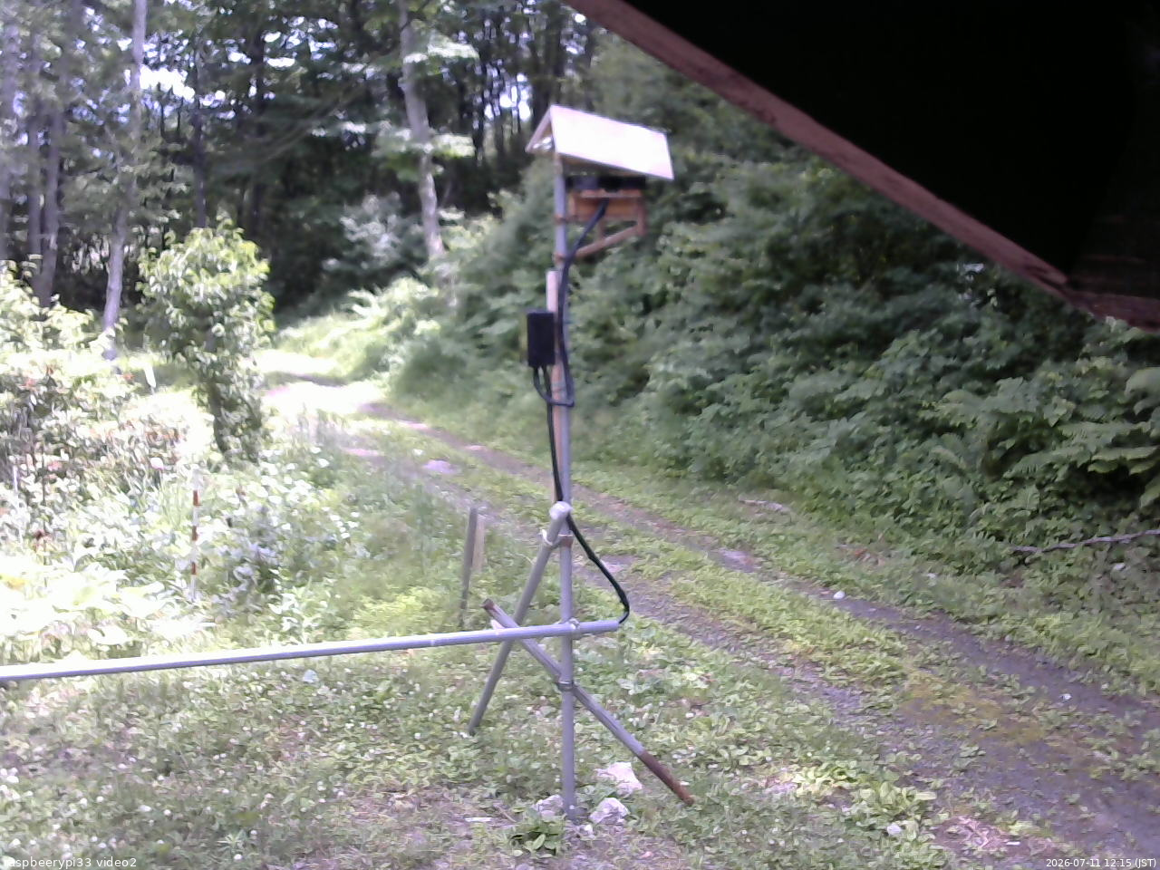 長野県菅平高原 ゆたか山荘 南側 2026/07/11 12:15