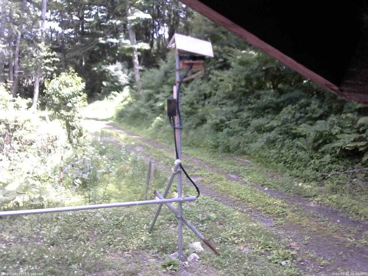 長野県菅平高原 ゆたか山荘 南側 2026/07/11 12:45