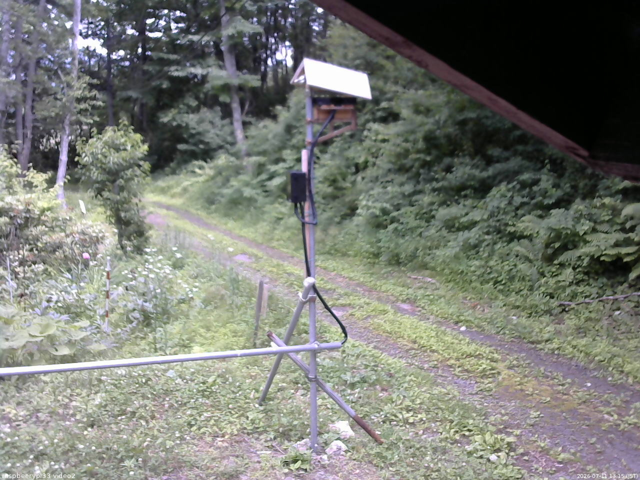 長野県菅平高原 ゆたか山荘 南側 2026/07/11 13:15