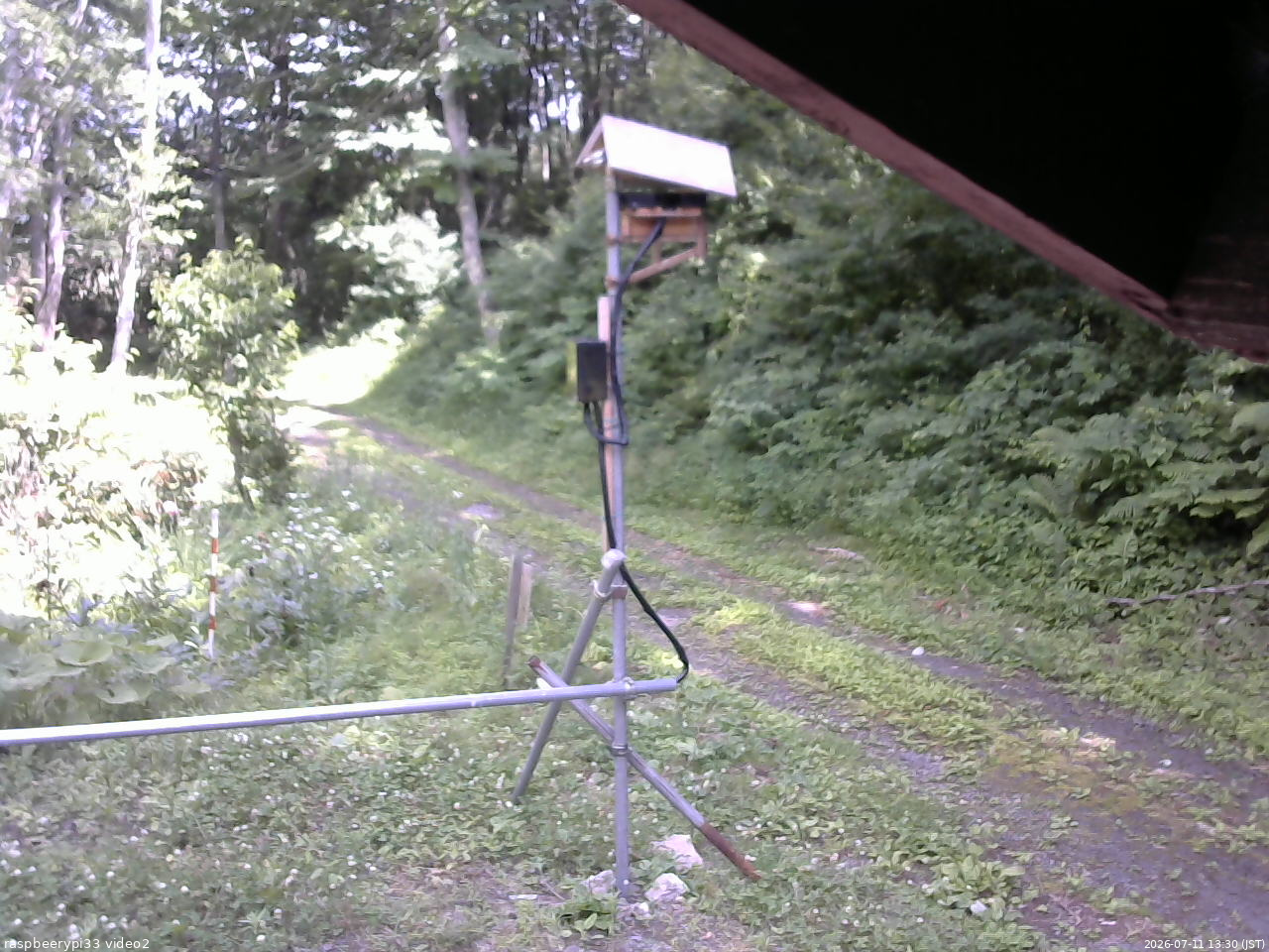 長野県菅平高原 ゆたか山荘 南側 2026/07/11 13:30