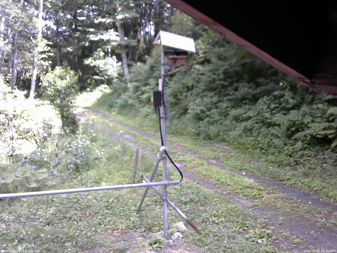 長野県菅平高原 ゆたか山荘 南側 2026/07/11 13:45