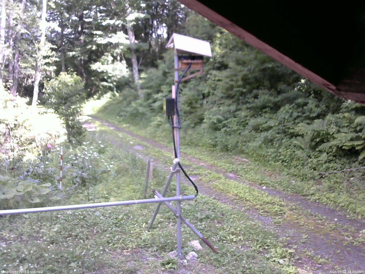 長野県菅平高原 ゆたか山荘 南側 2026/07/11 14:00