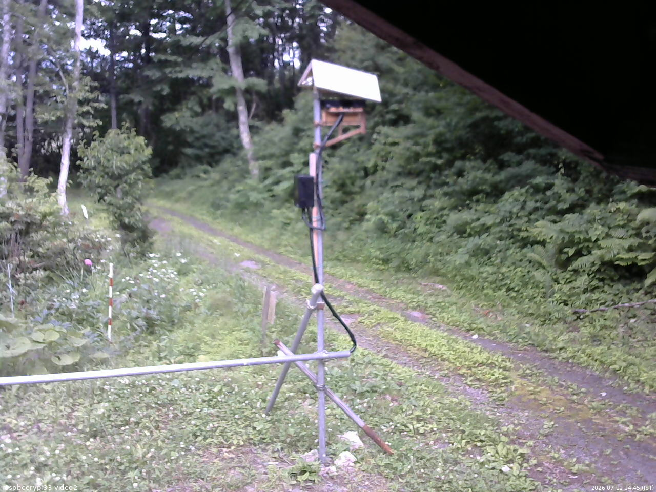 長野県菅平高原 ゆたか山荘 南側 2026/07/11 14:45