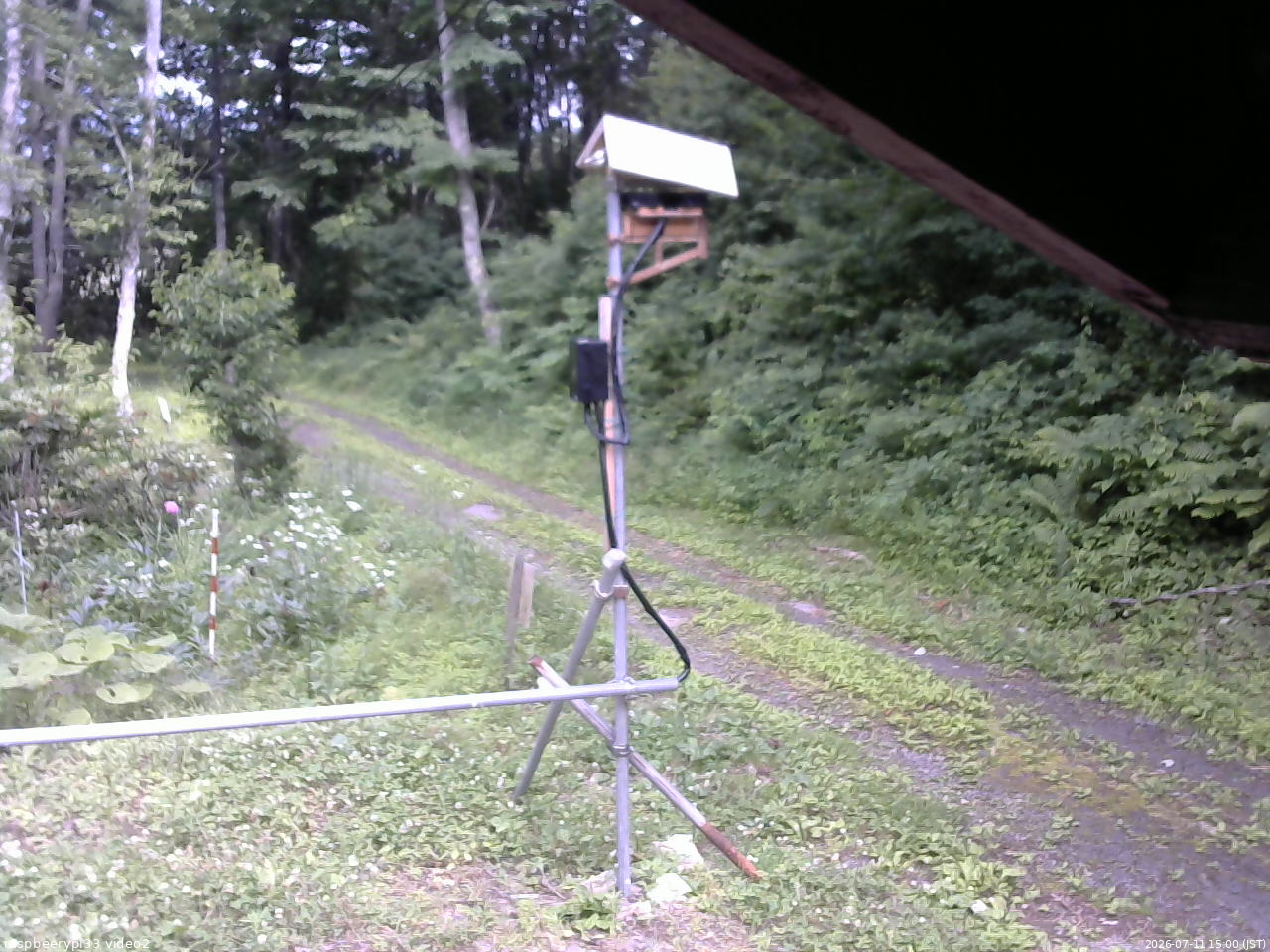 長野県菅平高原 ゆたか山荘 南側 2026/07/11 15:00