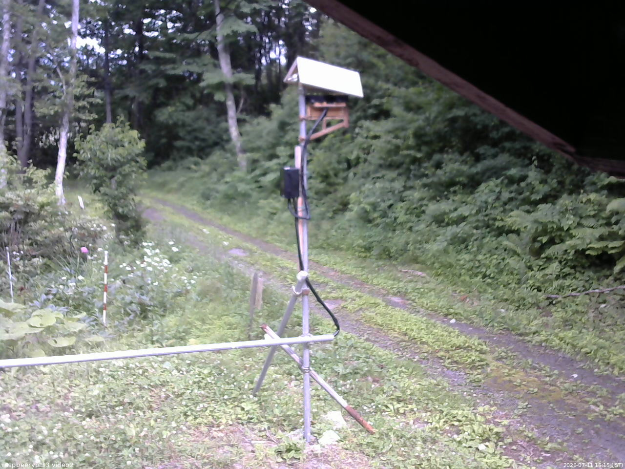 長野県菅平高原 ゆたか山荘 南側 2026/07/11 15:15