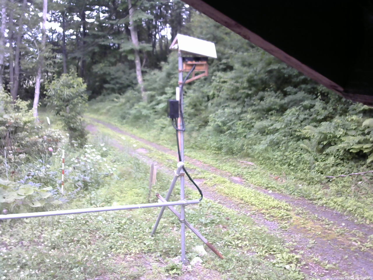長野県菅平高原 ゆたか山荘 南側 2026/07/11 15:45