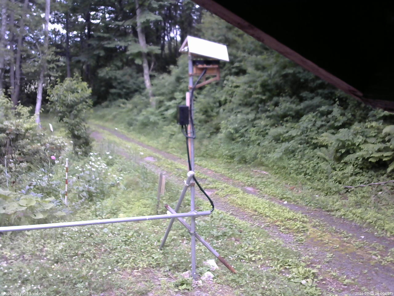 長野県菅平高原 ゆたか山荘 南側 2026/07/11 16:00