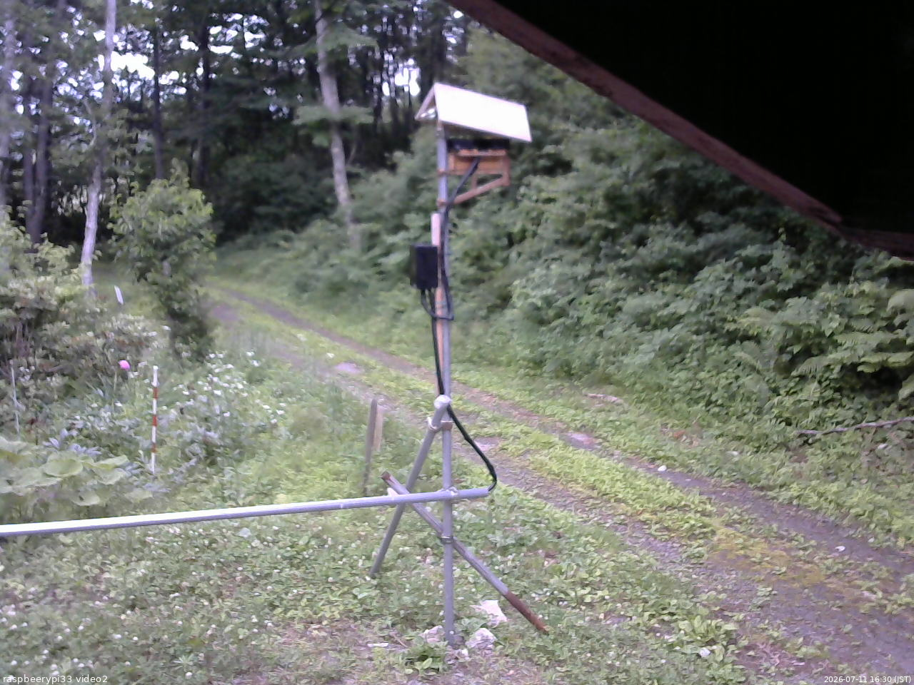 長野県菅平高原 ゆたか山荘 南側 2026/07/11 16:30