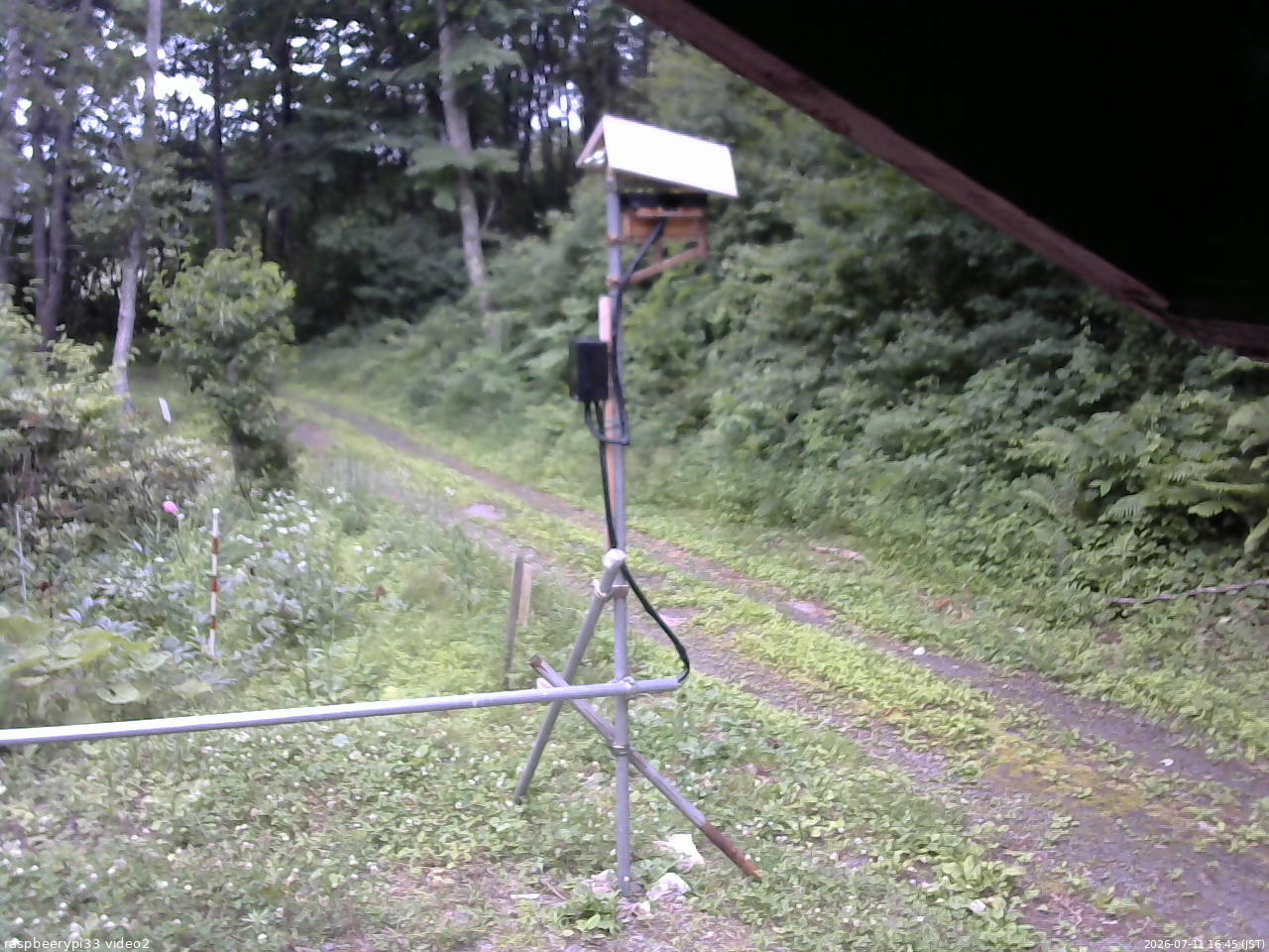 長野県菅平高原 ゆたか山荘 南側 2026/07/11 16:45