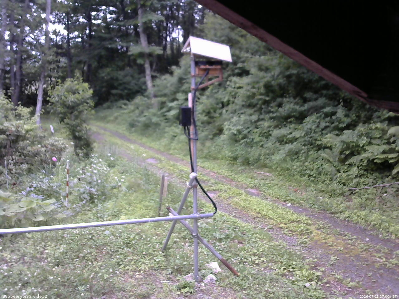 長野県菅平高原 ゆたか山荘 南側 2026/07/11 17:00