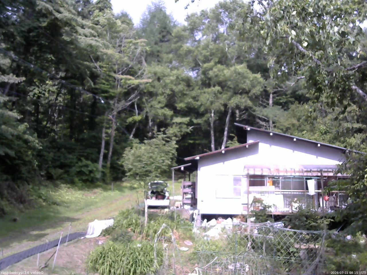長野県菅平高原 ゆたか山荘 西側(坂上) 2026/07/11 08:15