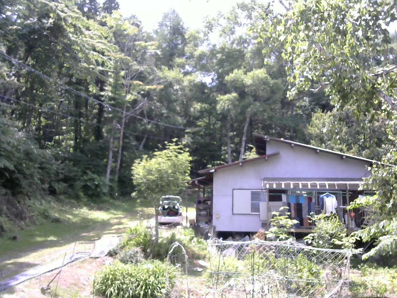 長野県菅平高原 ゆたか山荘 西側(坂上) 2026/07/11 13:00