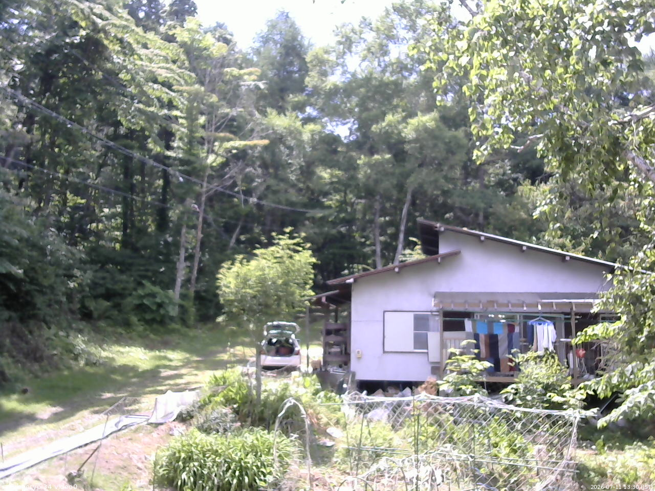 長野県菅平高原 ゆたか山荘 西側(坂上) 2026/07/11 13:30