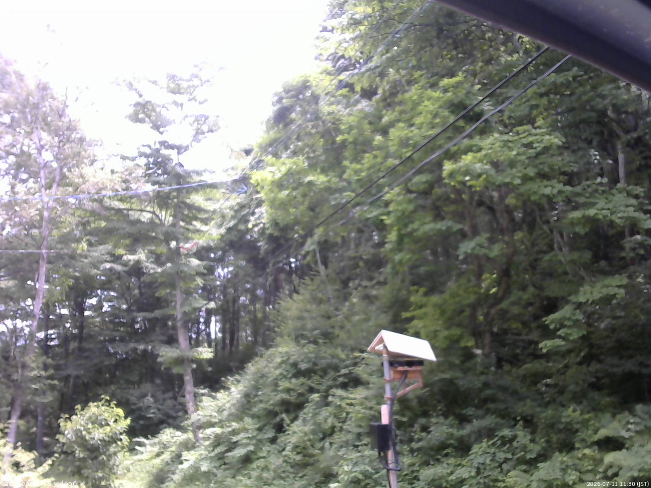 長野県菅平高原 ゆたか山荘 温度計 2026/07/11 11:30