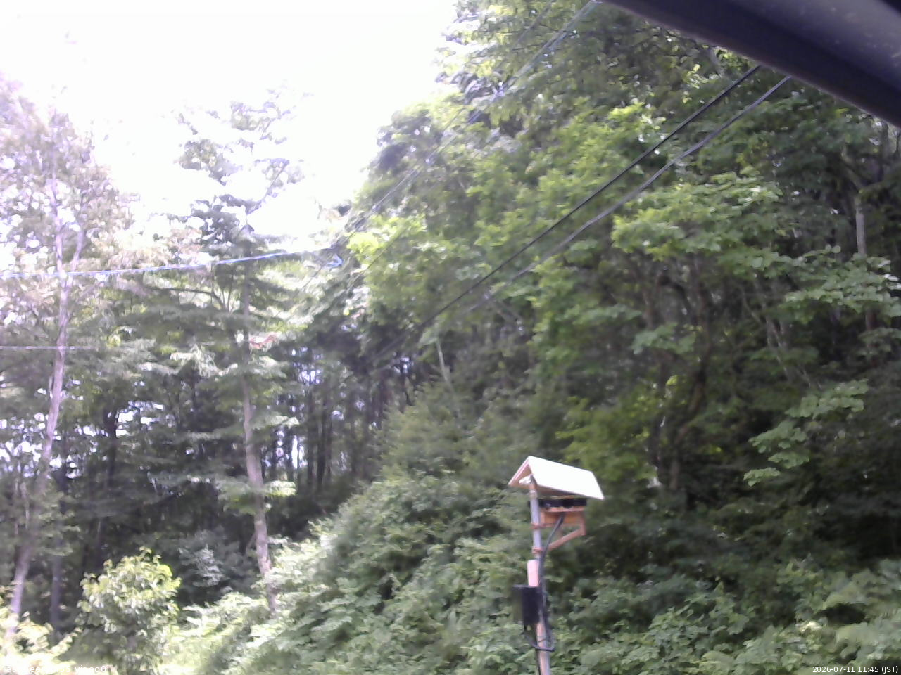 長野県菅平高原 ゆたか山荘 温度計 2026/07/11 11:45