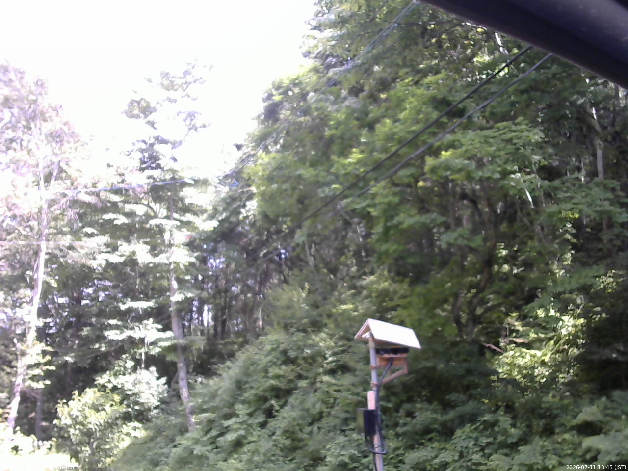長野県菅平高原 ゆたか山荘 温度計 2026/07/11 13:45