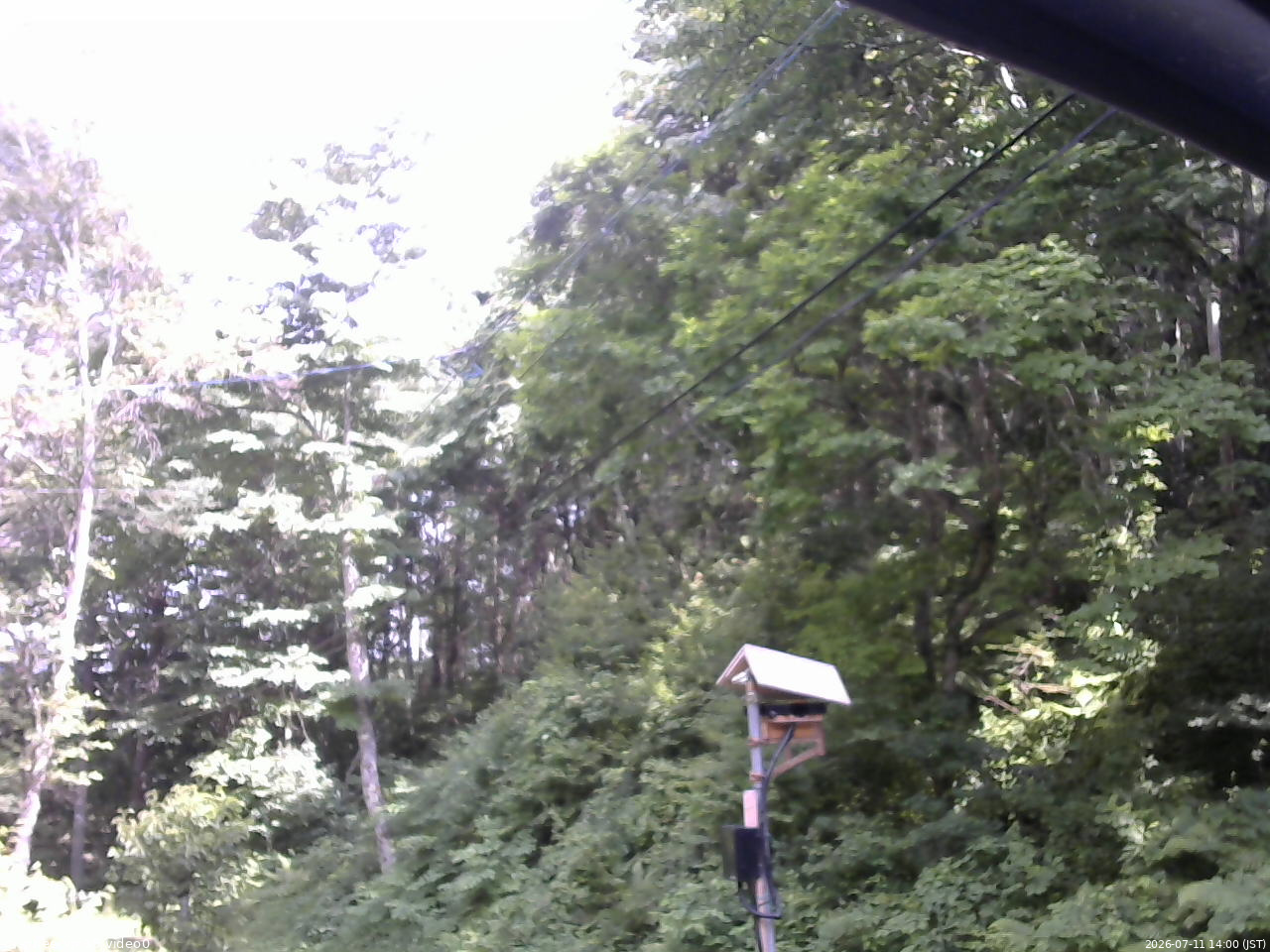 長野県菅平高原 ゆたか山荘 温度計 2026/07/11 14:00