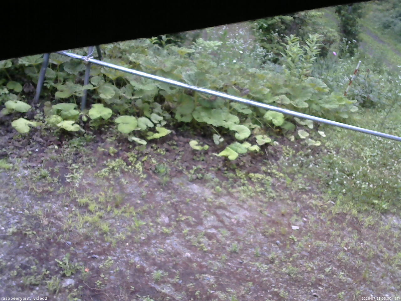 長野県菅平高原 ゆたか山荘 駐車場 2026/07/11 05:30