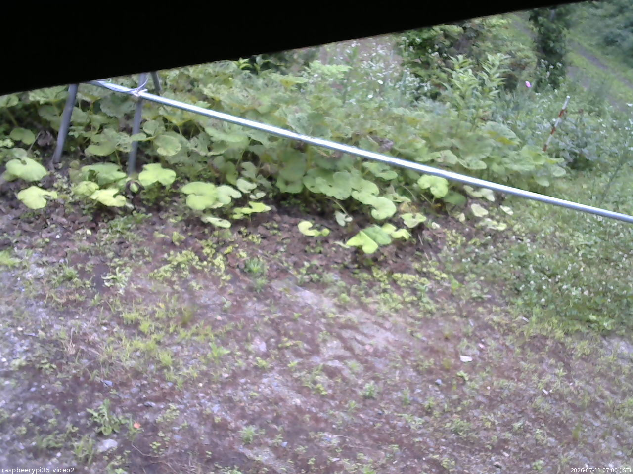 長野県菅平高原 ゆたか山荘 駐車場 2026/07/11 07:00